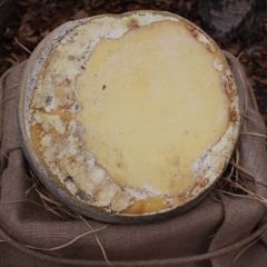 Kars Kaşarı (Eski kaşar) 12 Kg ile 12,5 Kg